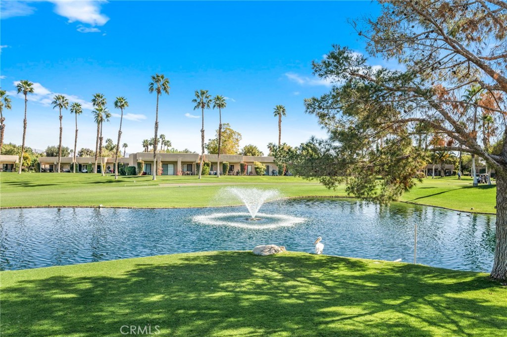 29086 Desert Princess Drive