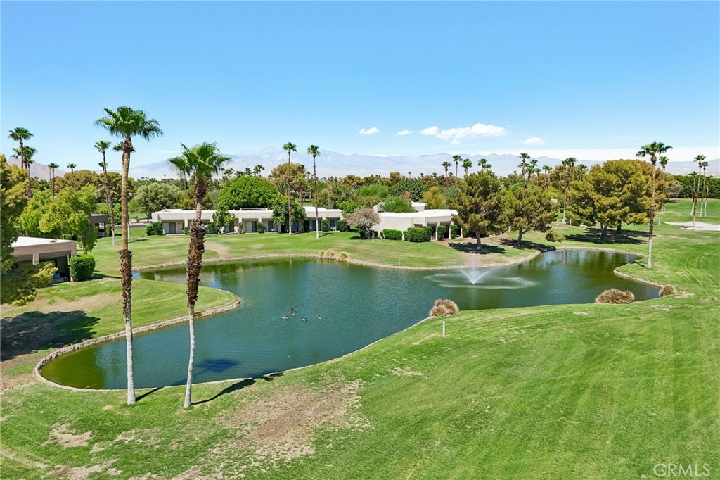 29086 Desert Princess Drive