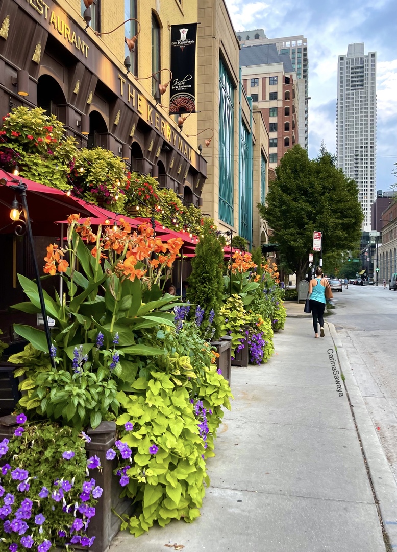 630 N STATE Street Unit: 2508