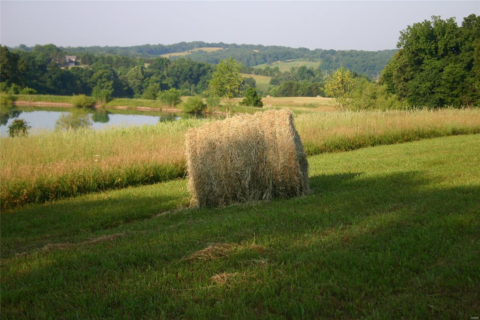 55