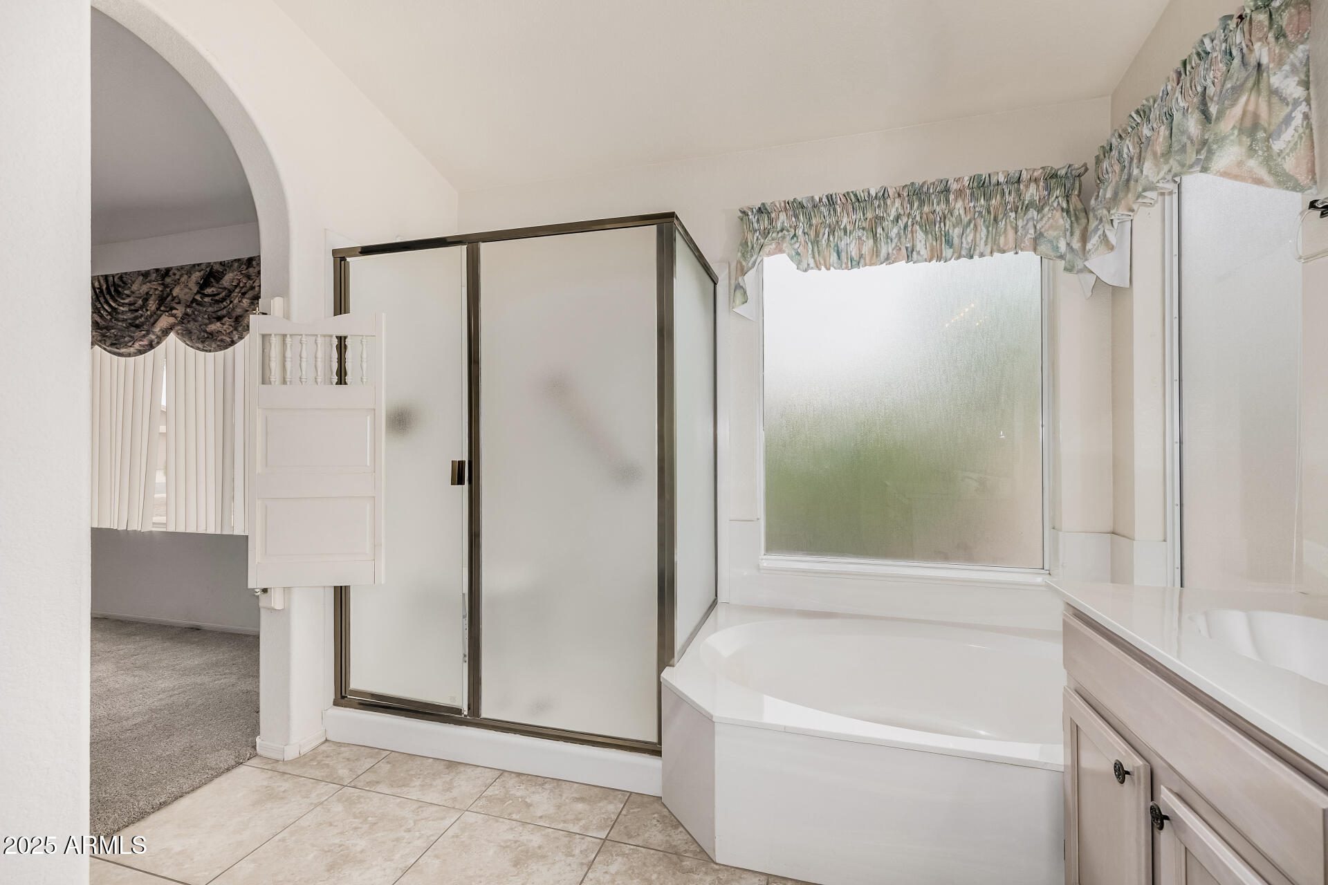 8510 E BRITTLE BUSH Road