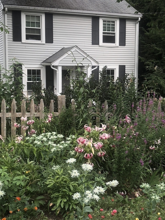 19 Sylvia St
