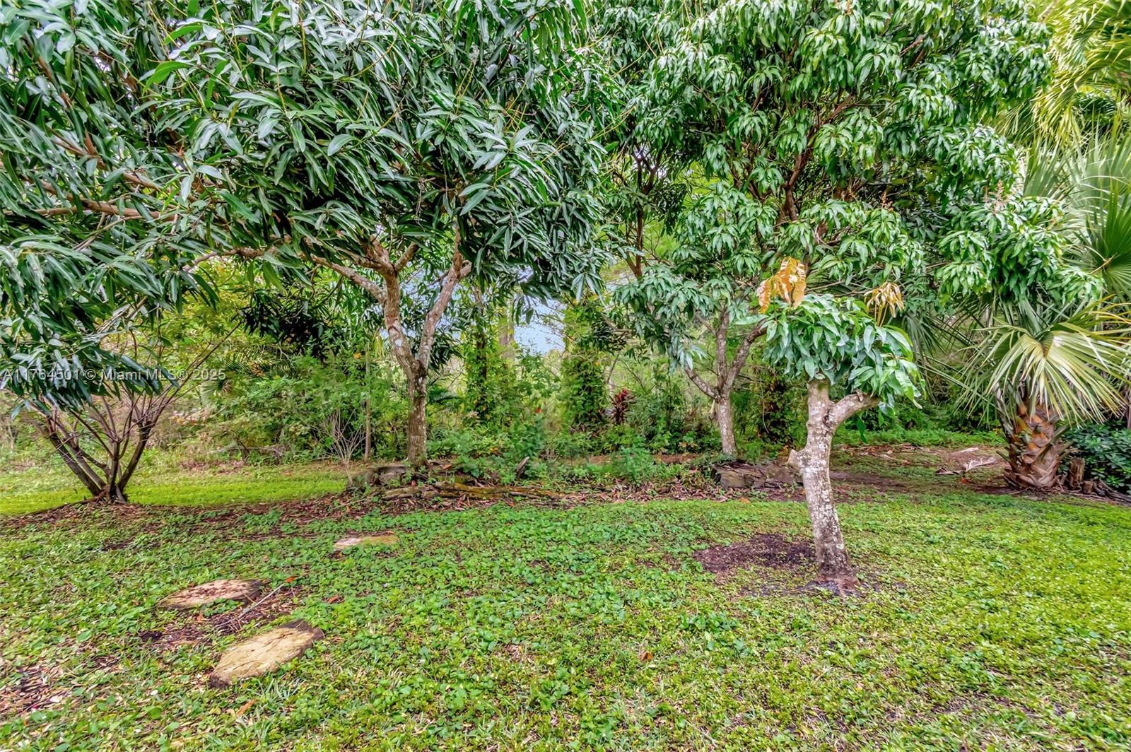10234 Oak Meadow Ln