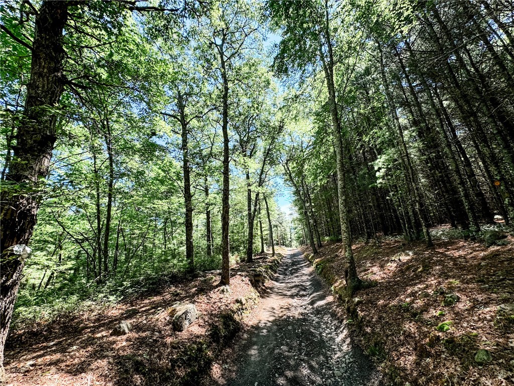158 Pauchaug Trail