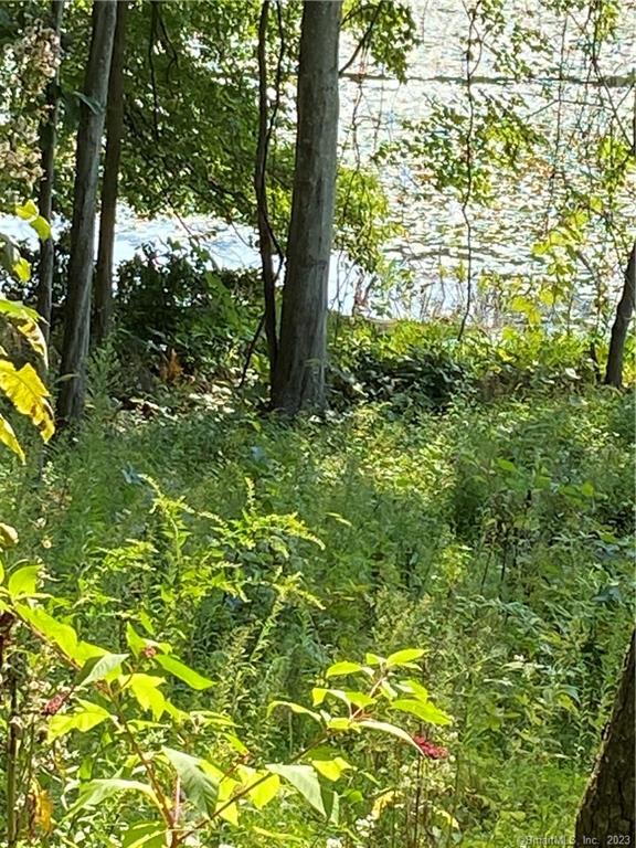 51-54 Paradise Drive