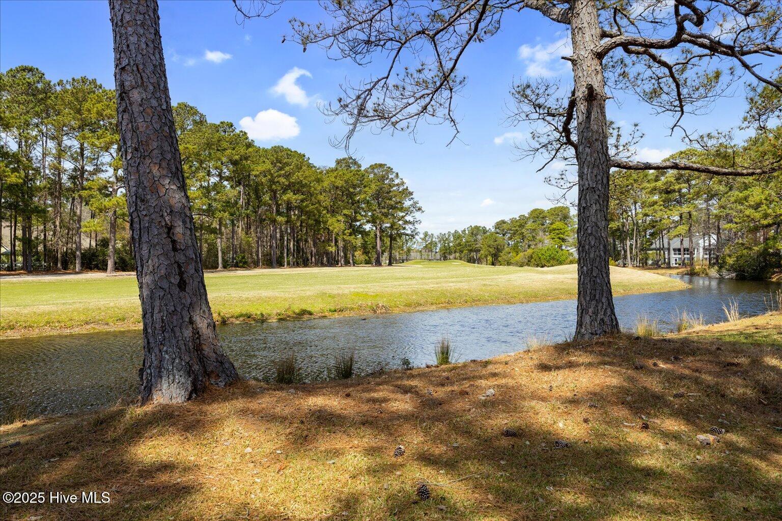 724 Azalea Drive 436