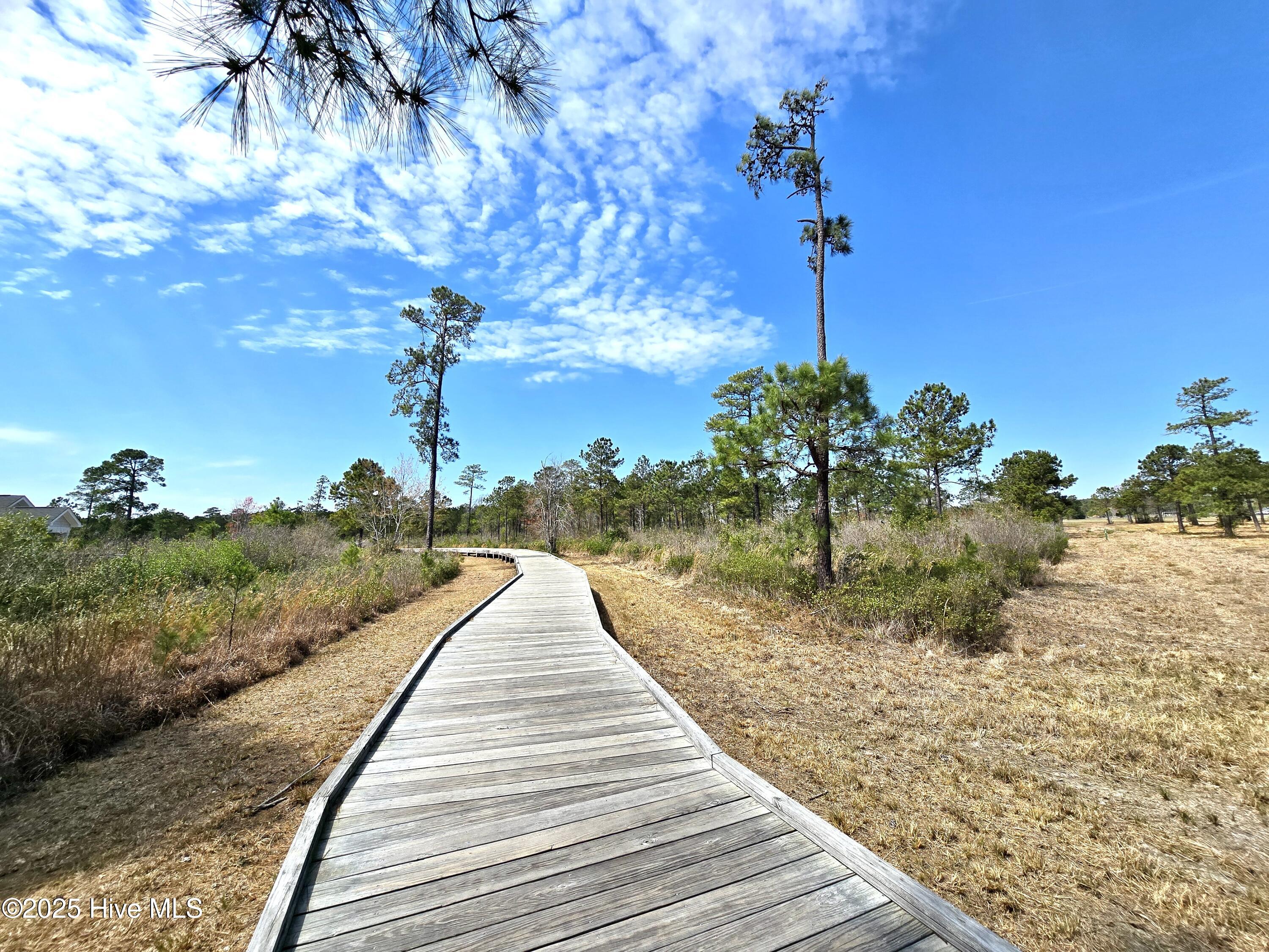 724 Azalea Drive 436