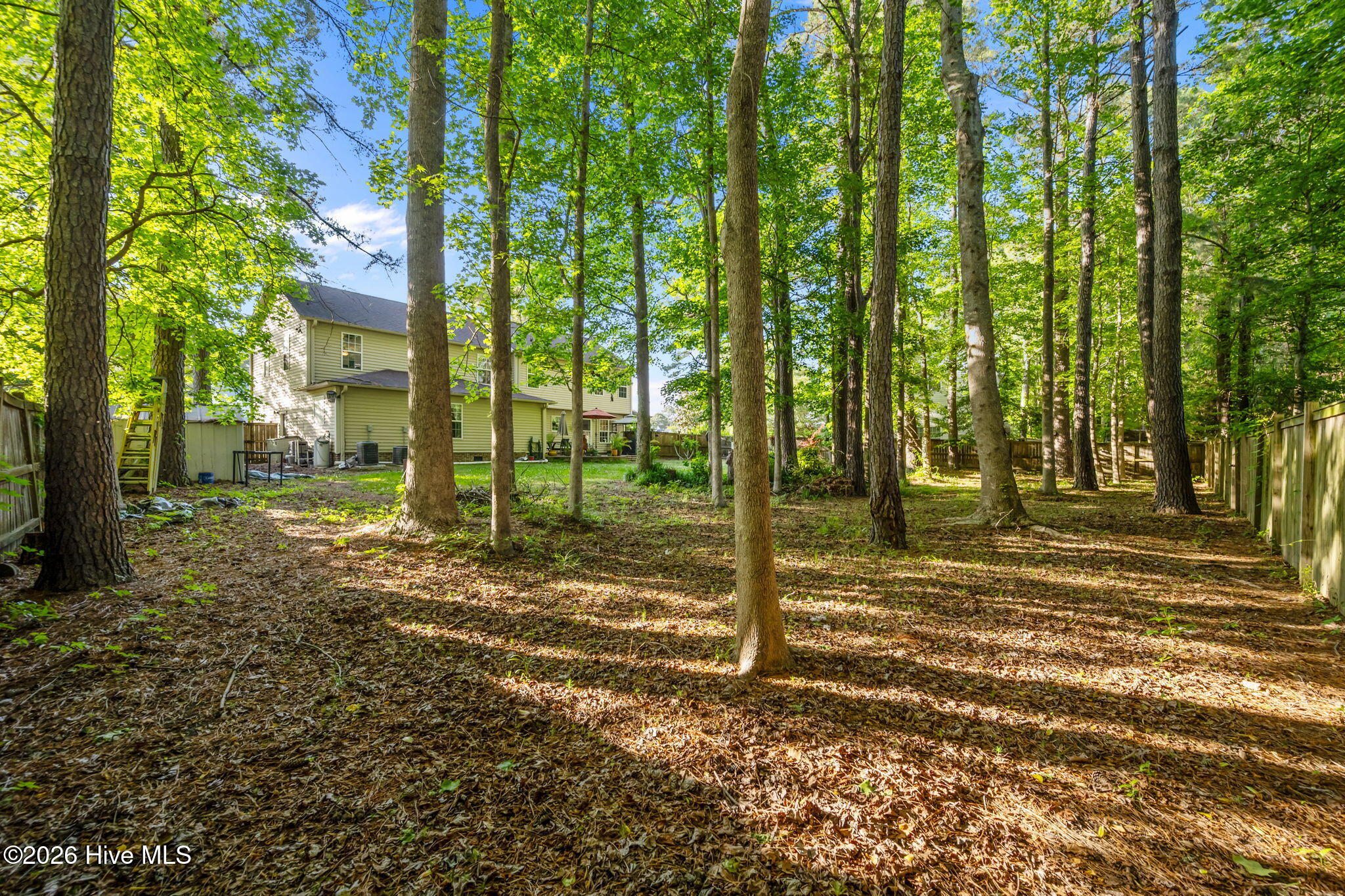 309 Osprey Point Drive