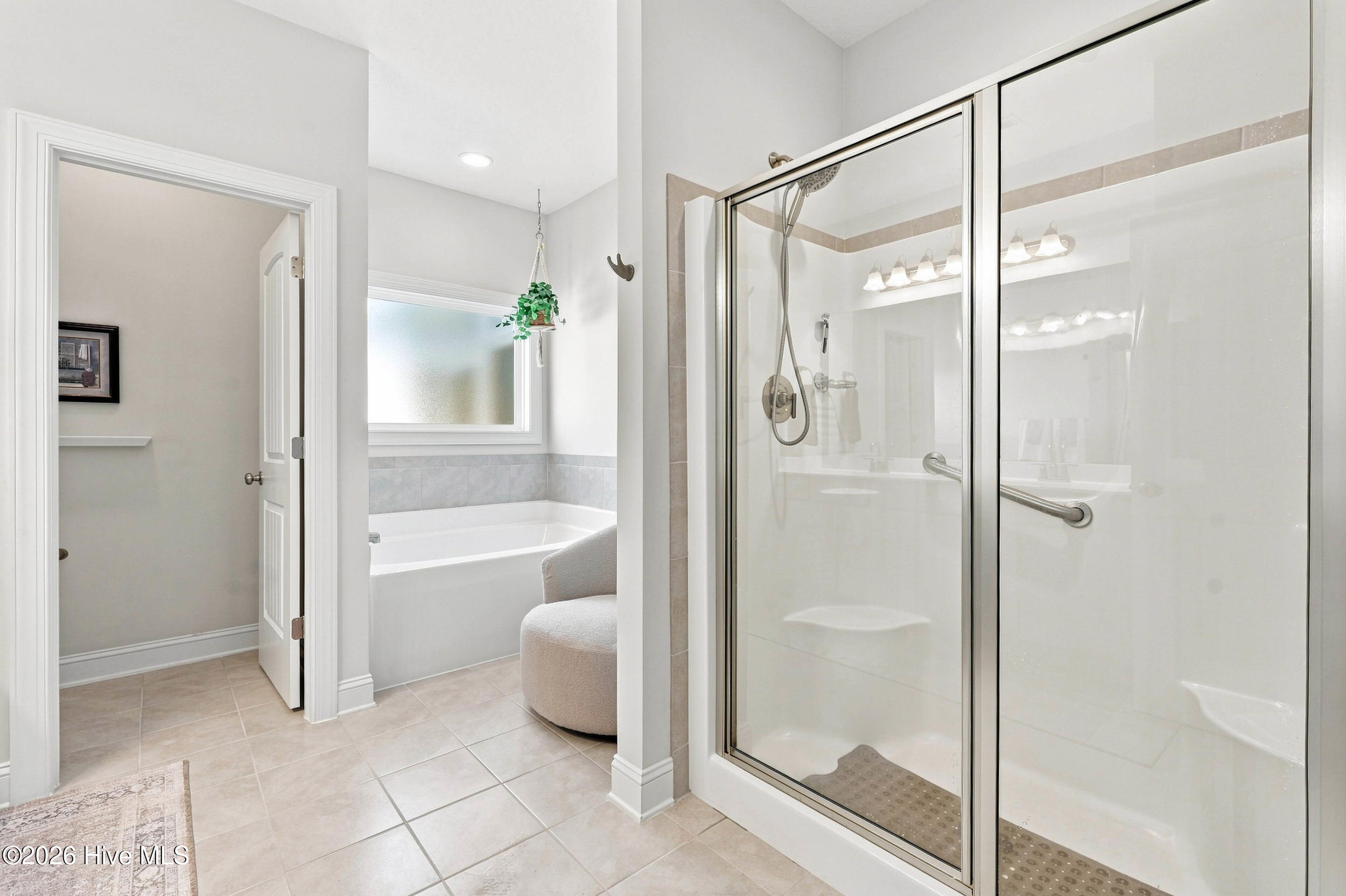 Bathroom with glass-enclosed shower and grab bar, bathtub beneath a frosted window, and hanging plant.