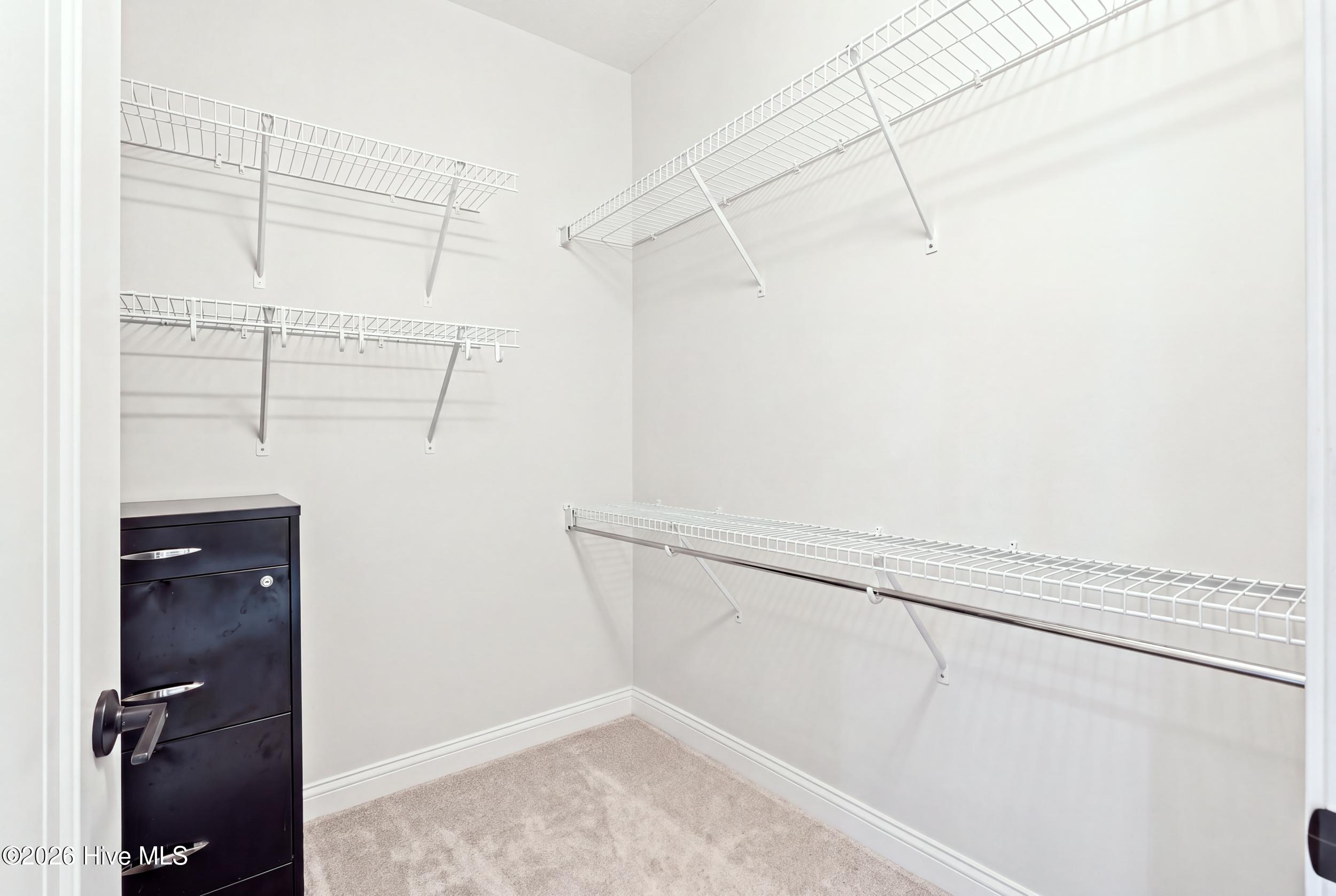 Walk-in closet with extensive white wire shelving, beige carpet, and a dark drawer unit.