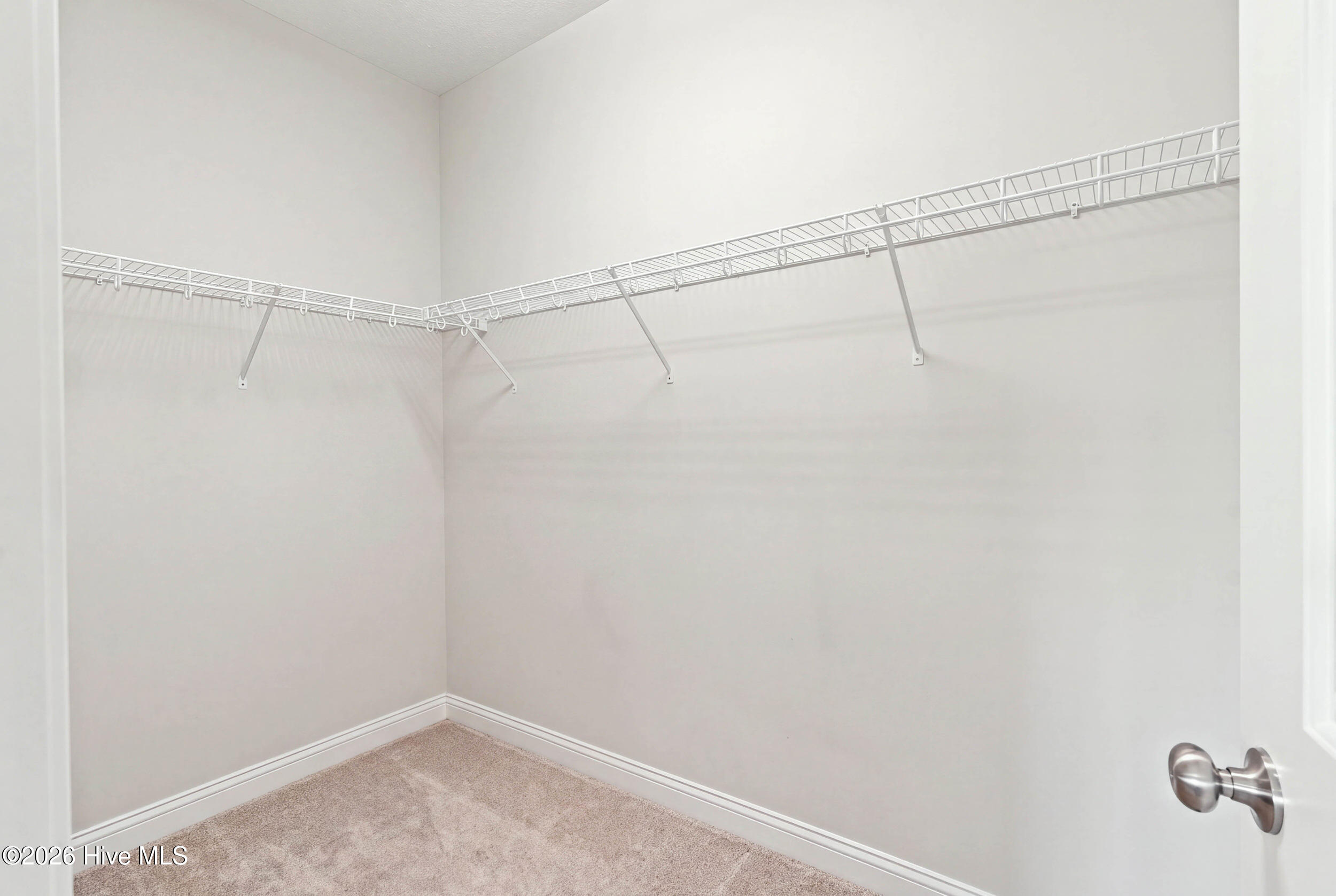 Empty walk-in closet with white wire shelving and beige carpet.