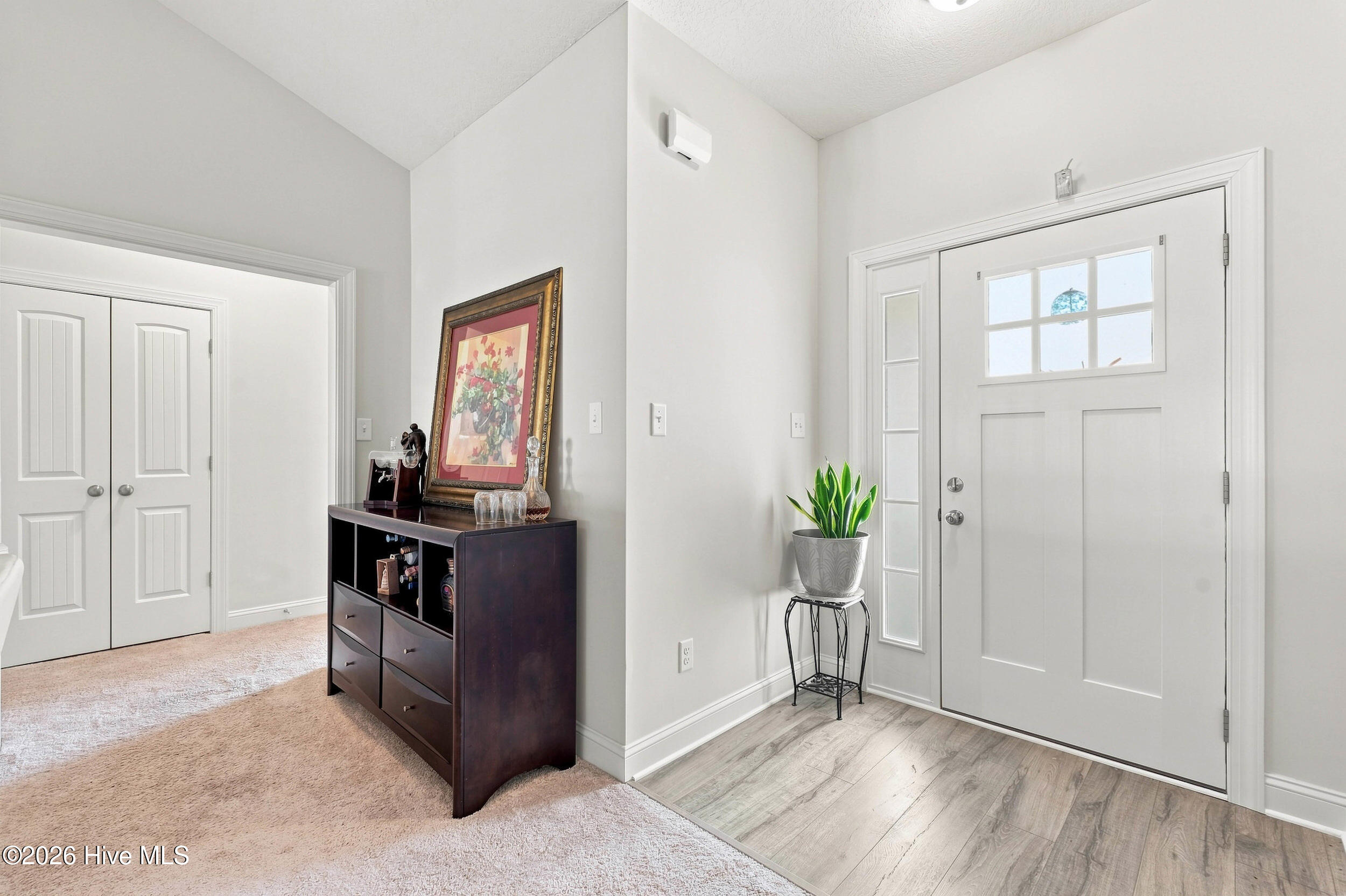 Entry foyer with a white windowed front door, potted plant, and dark wood console.