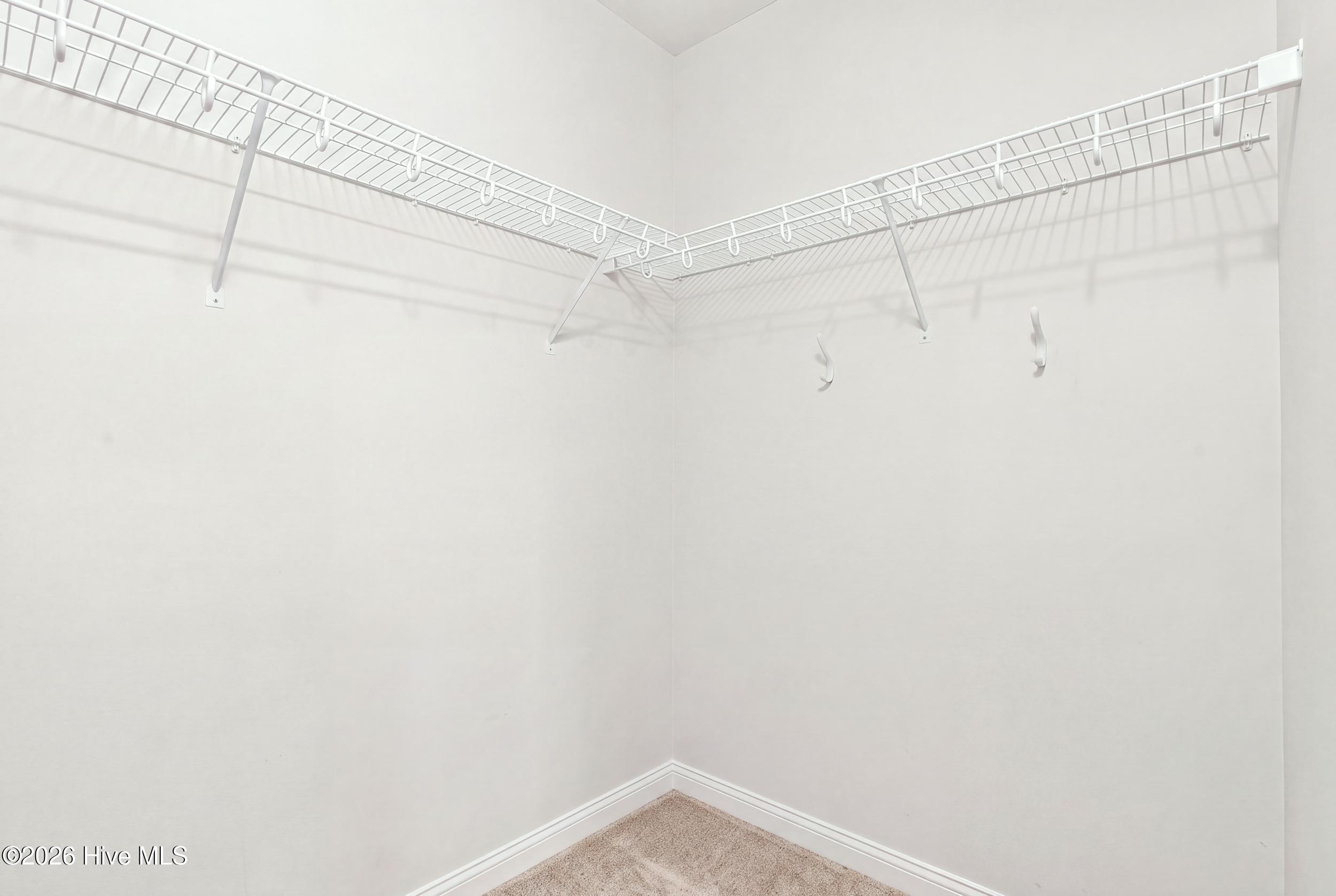 Empty carpeted walk-in closet with white wire shelving and hooks.
