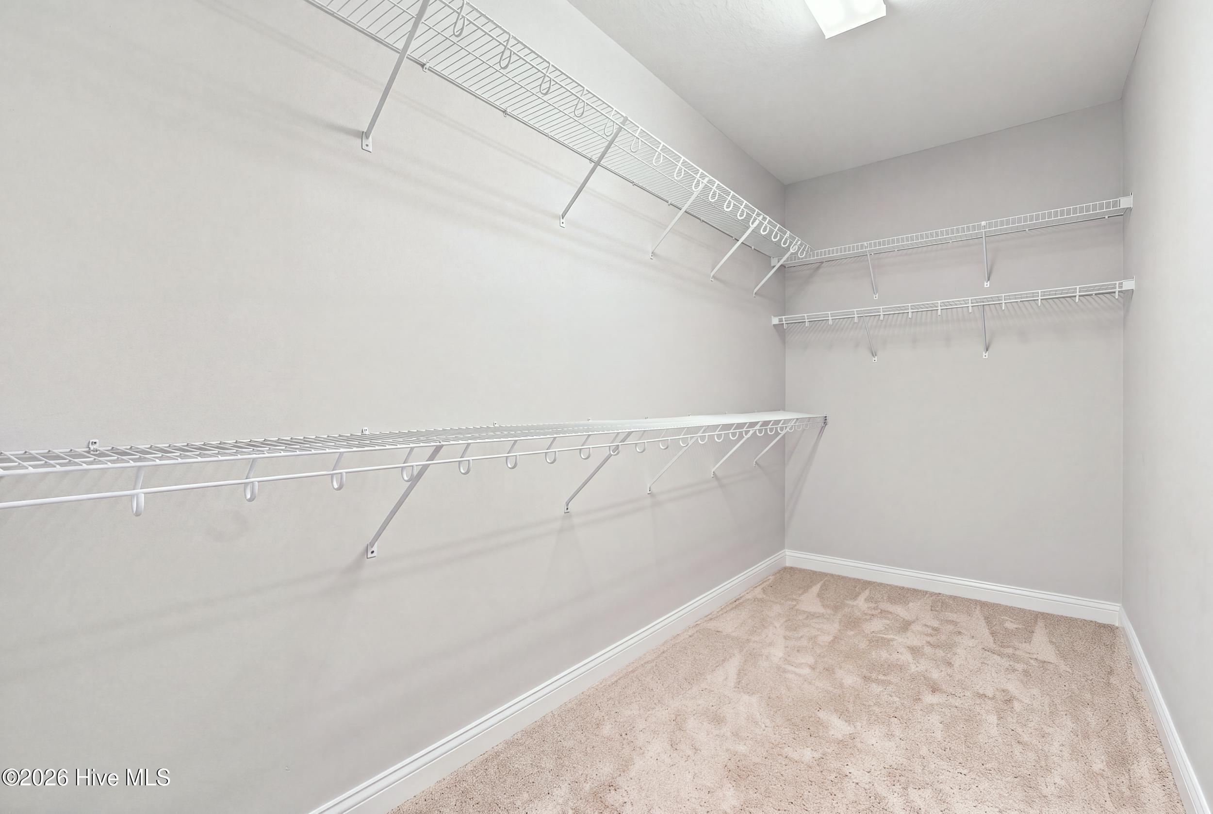 Walk-in closet with white wire shelving along three walls and beige carpet.