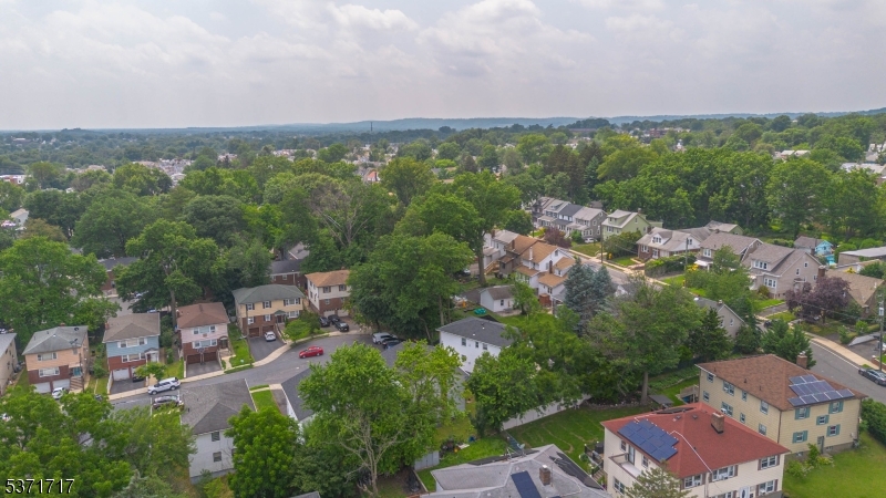 25 Evelyn Ct
