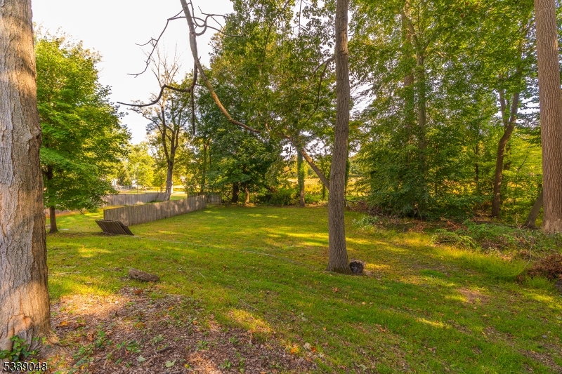 421 Tappan Ave