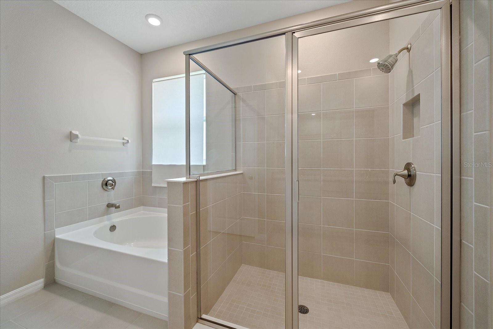 2168 MIDNIGHT PEARL DR