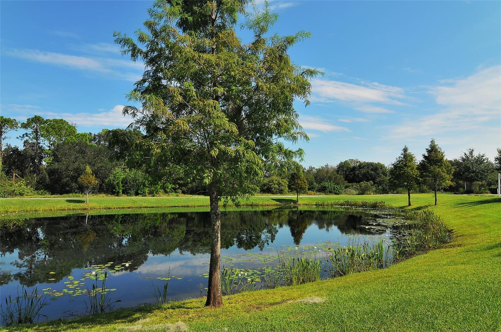 6122 BLUE RUNNER CT