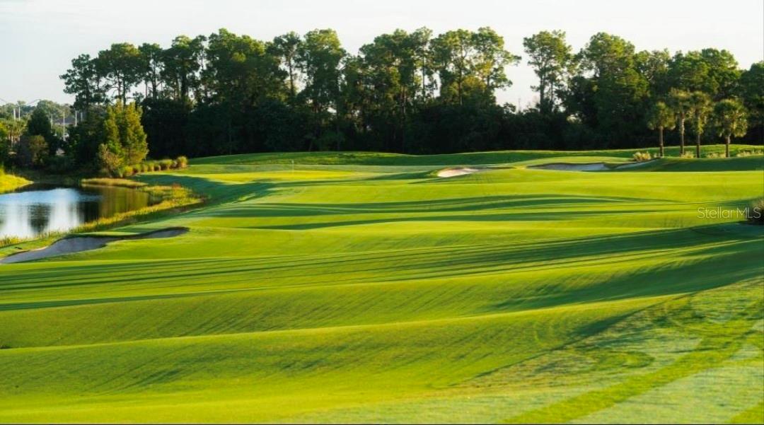 17810 GAWTHROP DR #305