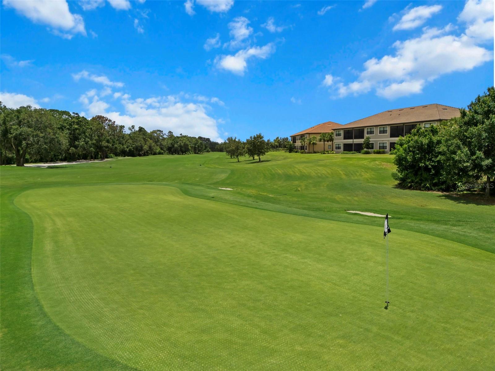 13816 MESSINA LOOP #104