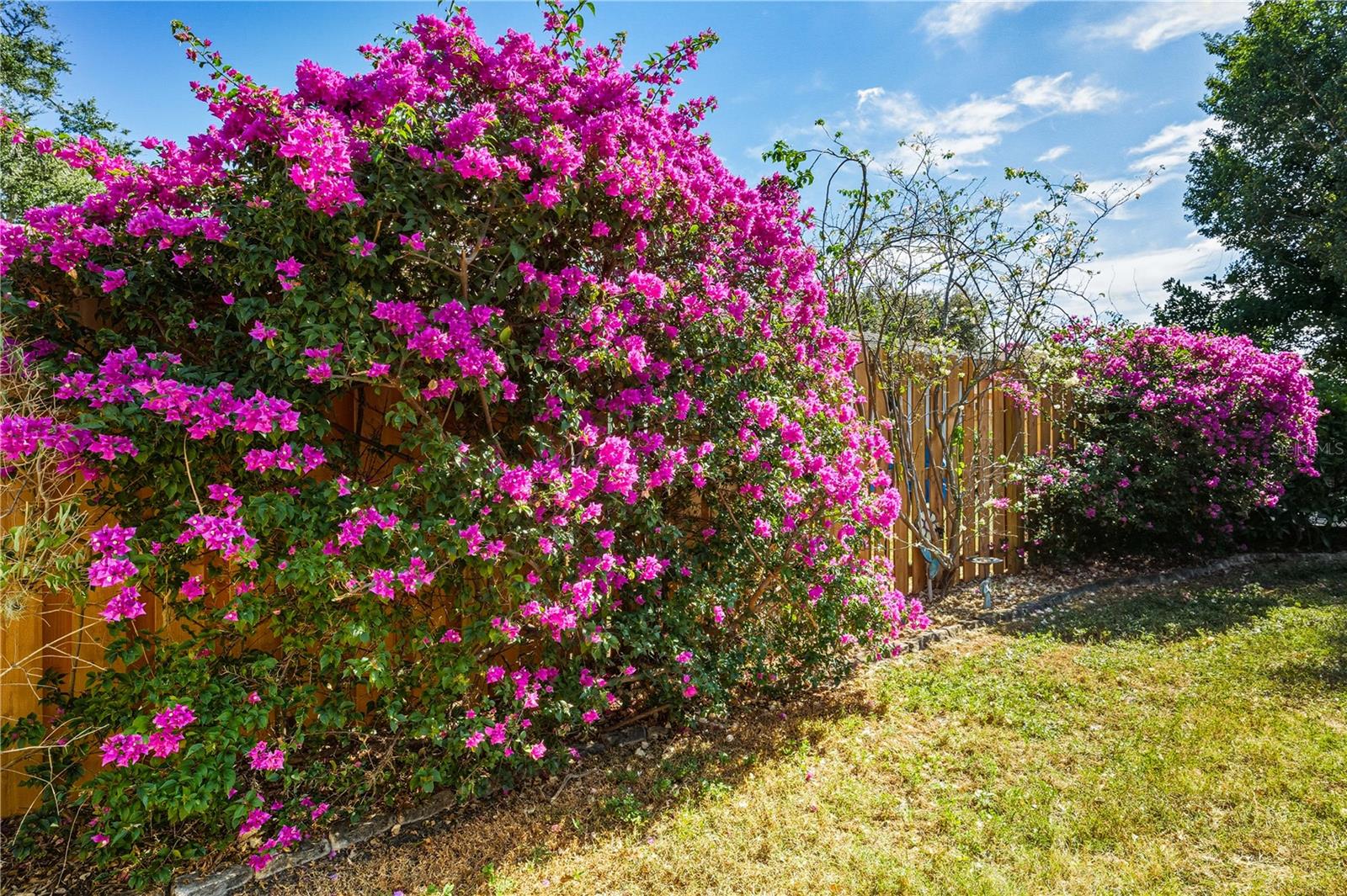 5896 WHISTLEWOOD WAY