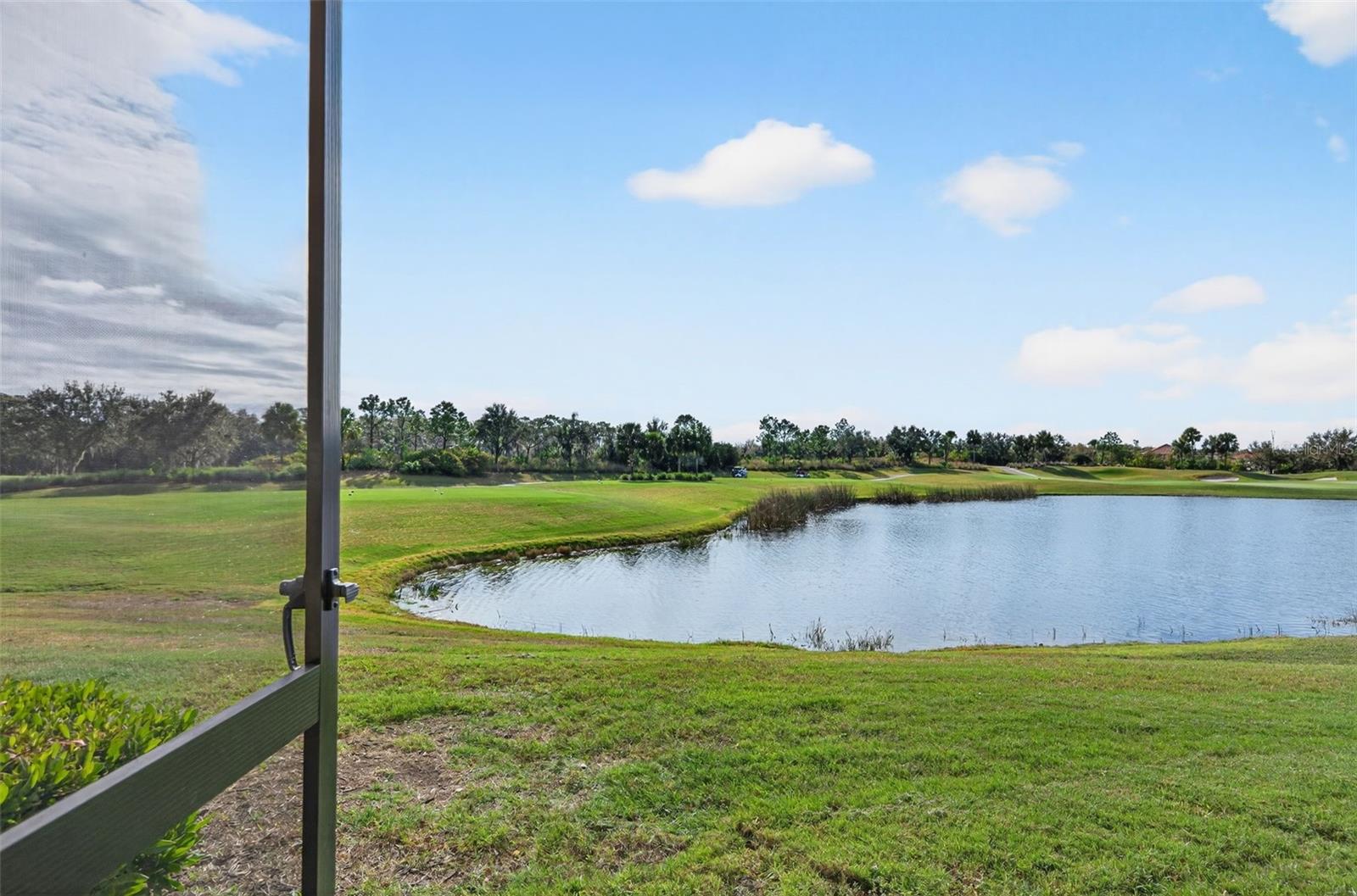 13738 MESSINA LOOP #103