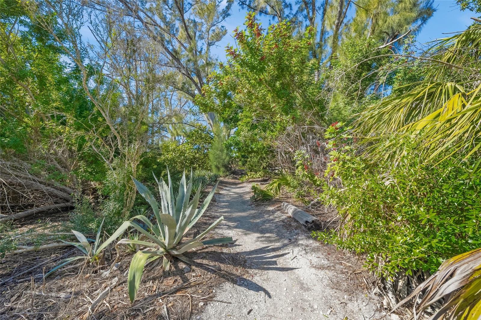 8560 HERON LAGOON CIR