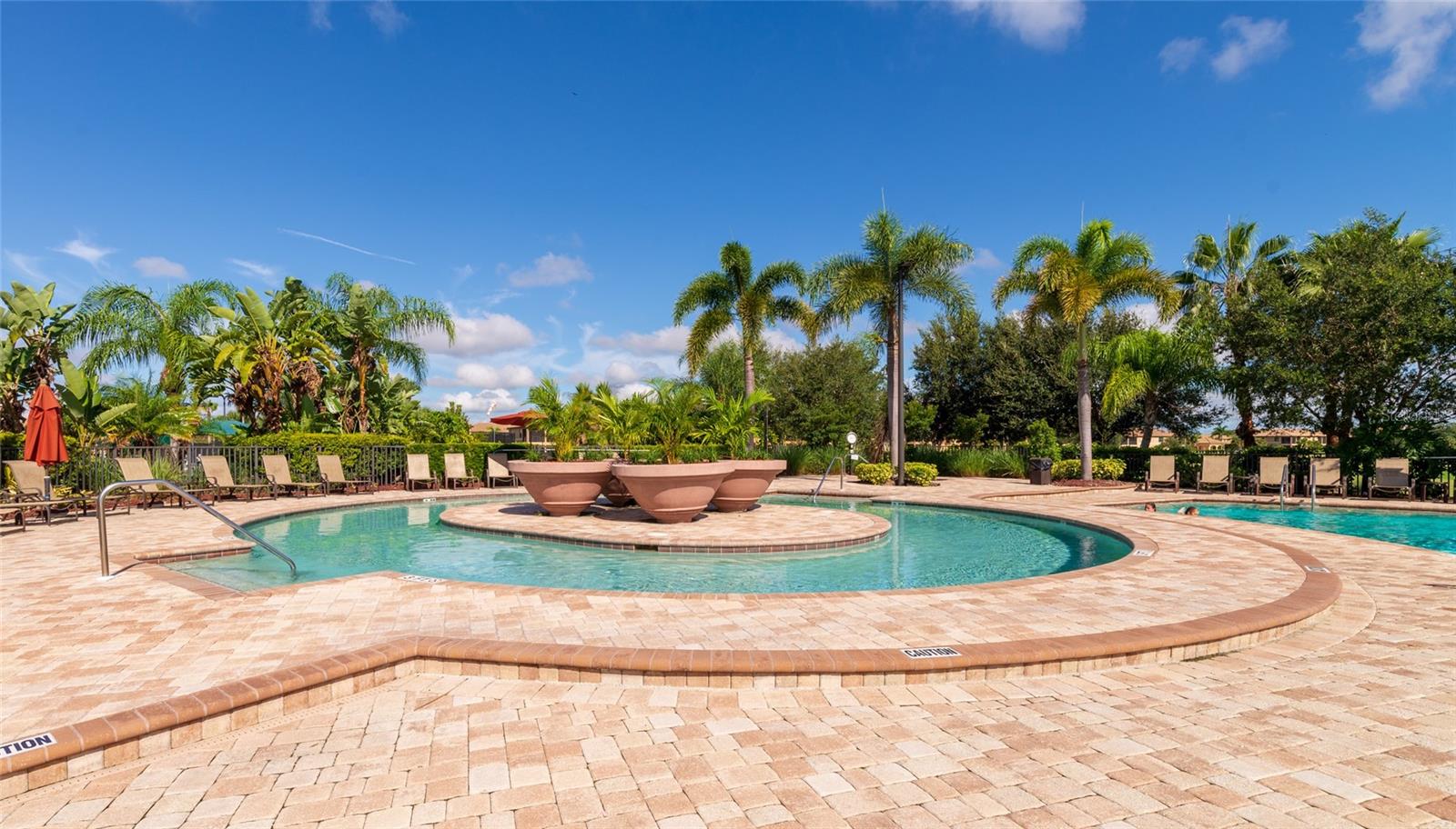 223 RIVER ENCLAVE CT