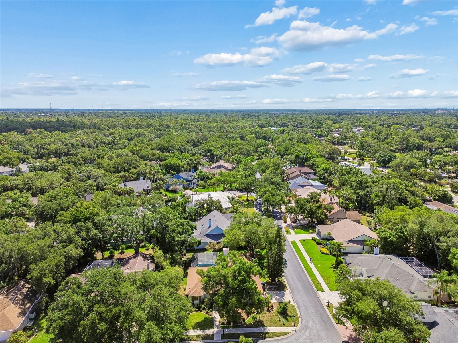 4627 TRAILS DR