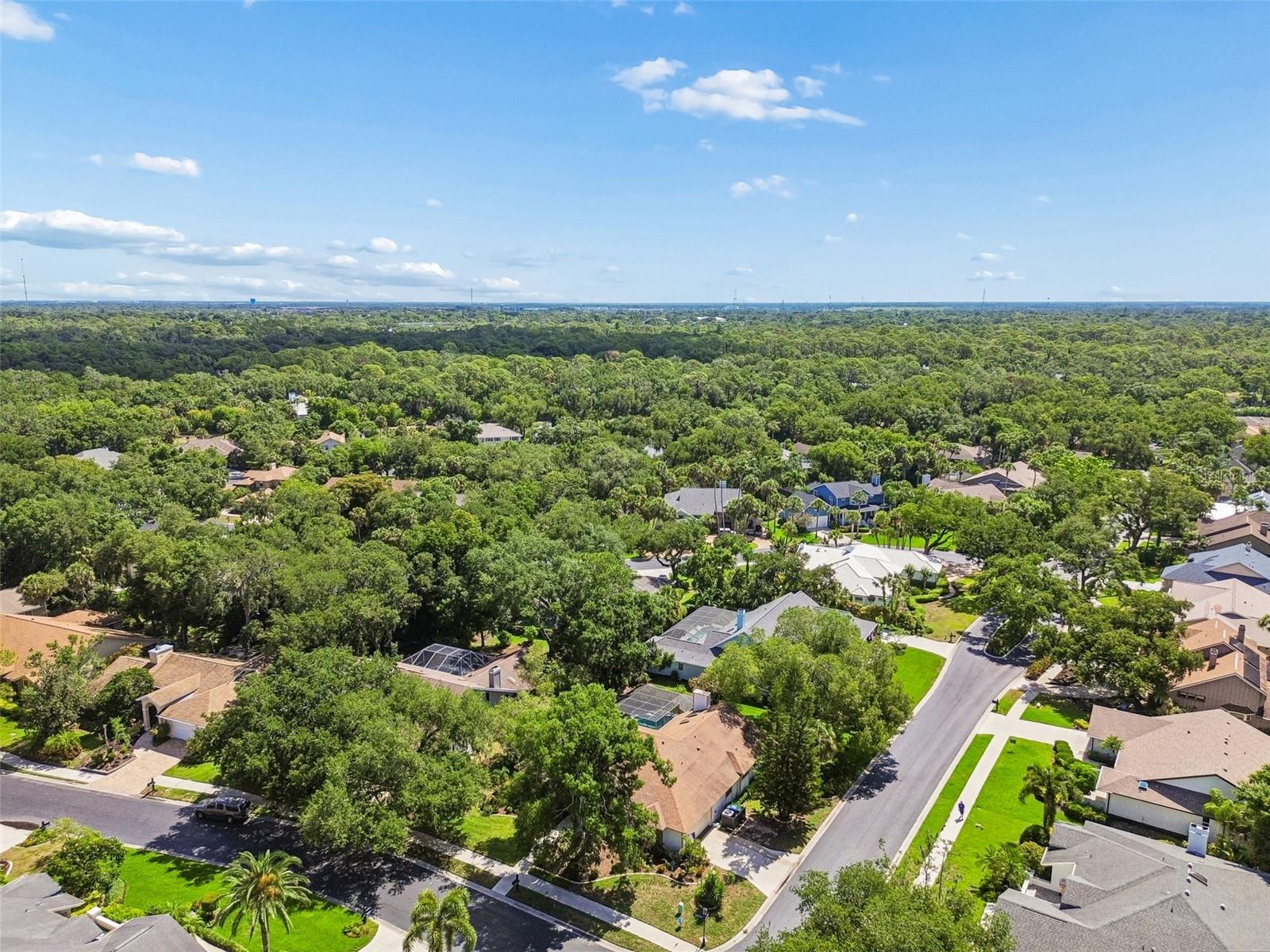 4627 TRAILS DR