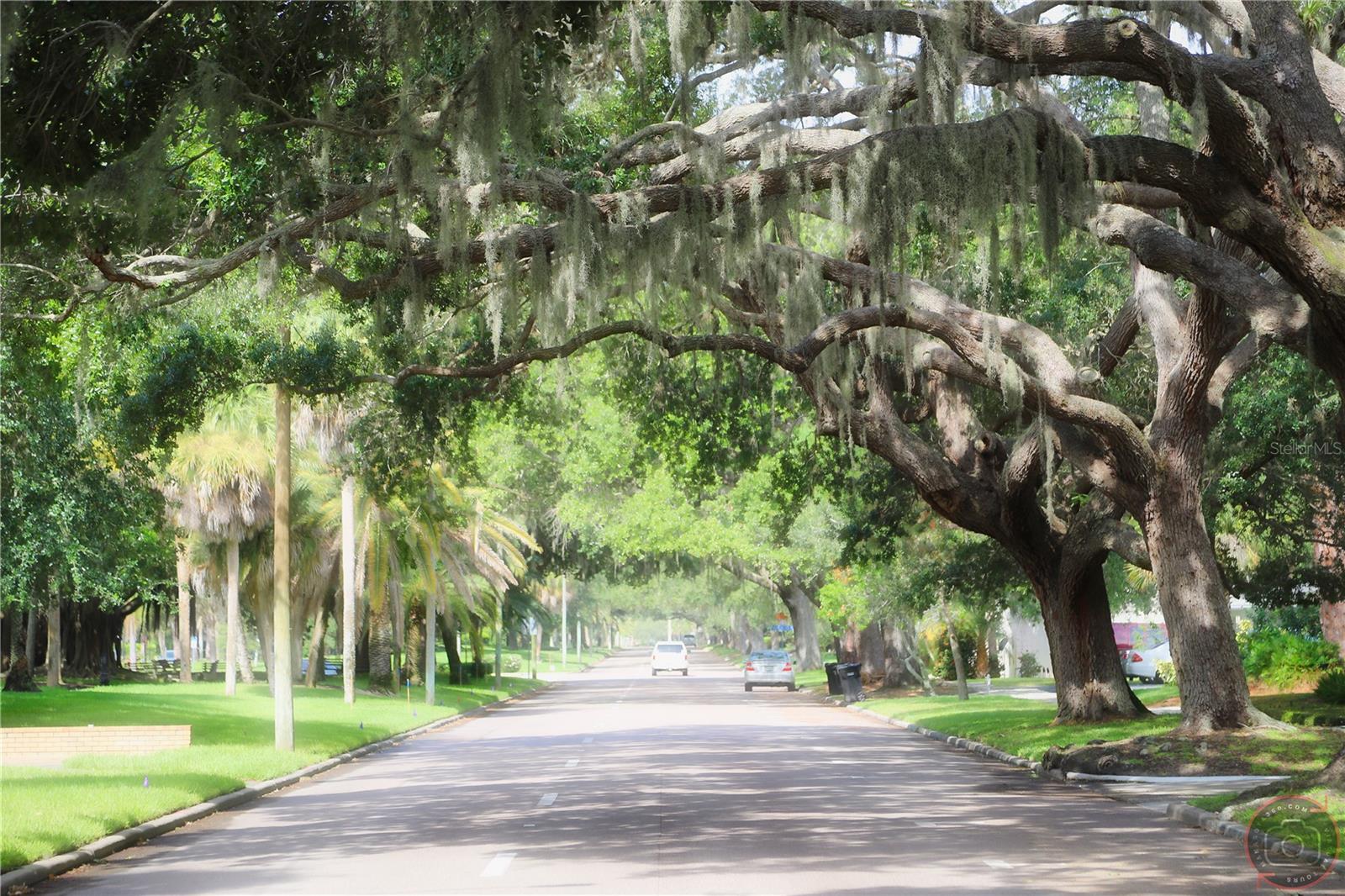 1612 CYPRESS POINT CT