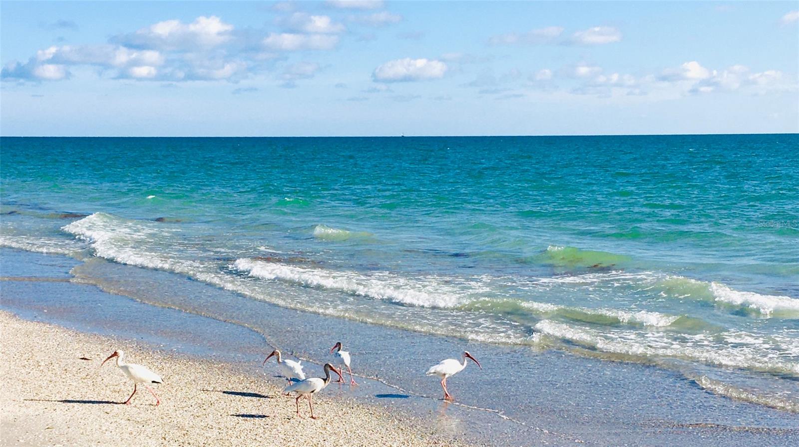 1612 CYPRESS POINT CT