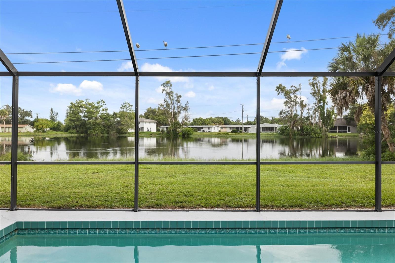 Pool and screened lanai overlooking a pond, with palm trees and neighboring homes across the water.