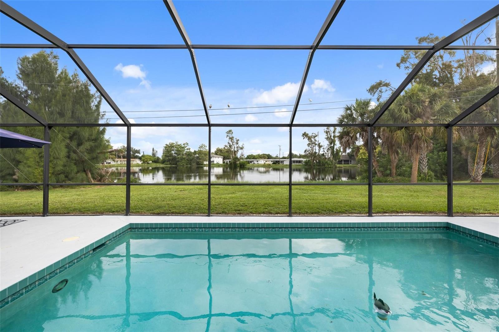 Swimming pool in a screened enclosure overlooking a pond, grassy yard, and palm trees.