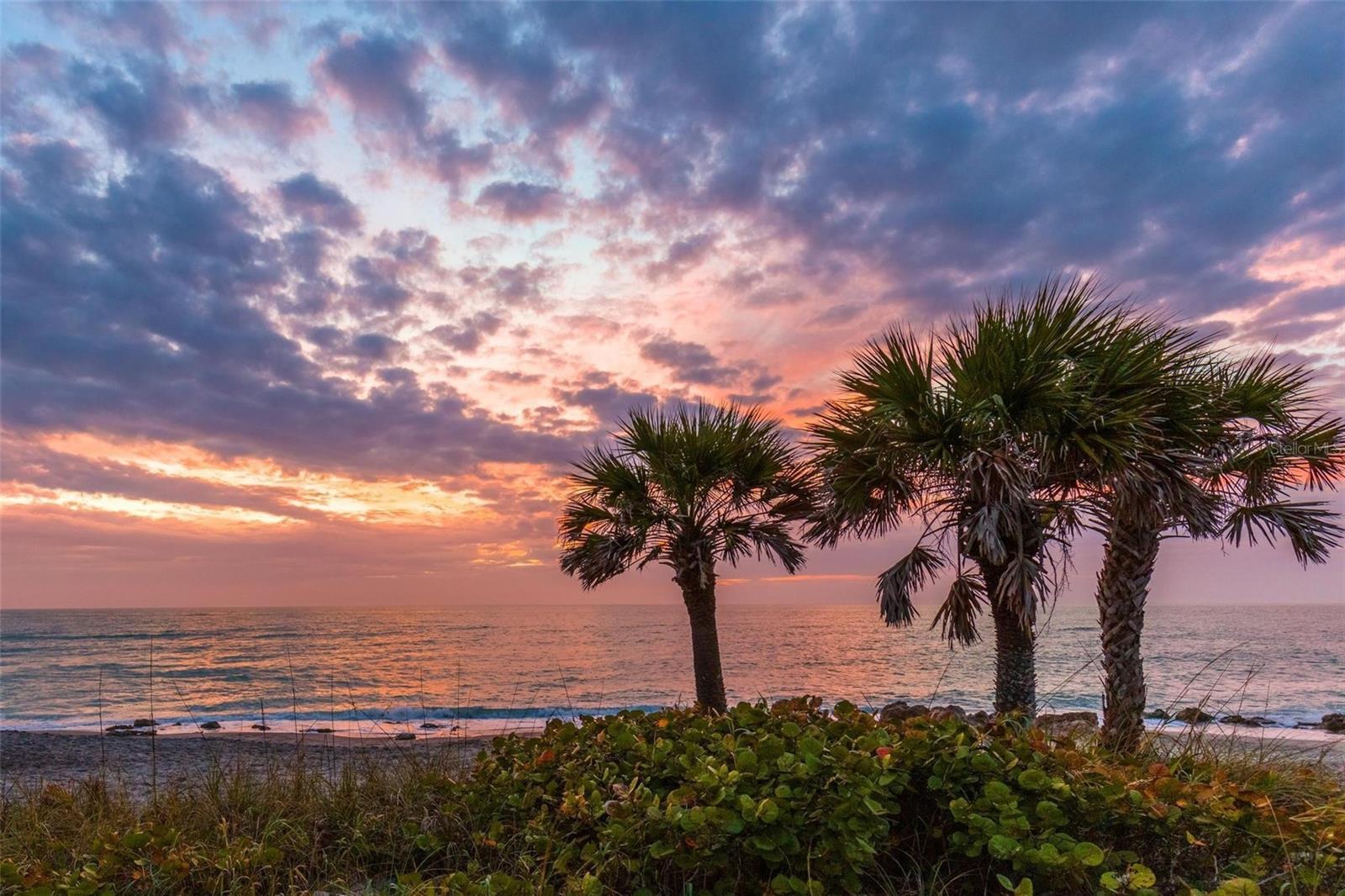 11615 OKALOOSA DR