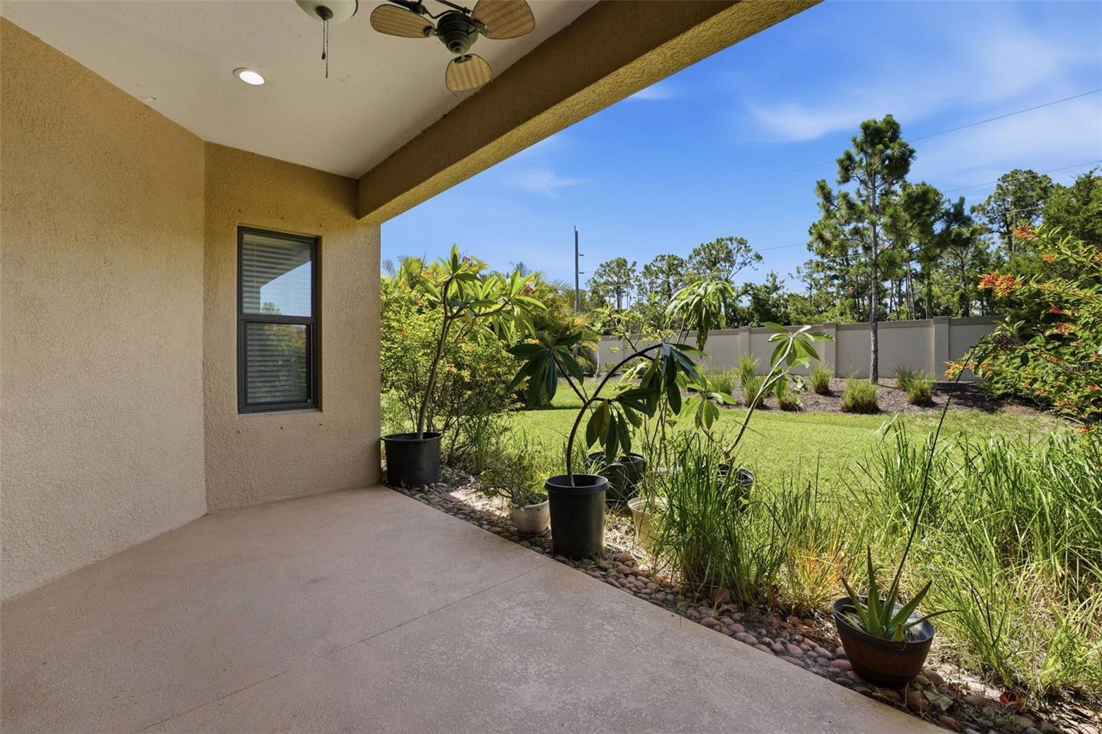 248 BENEDETTO CT