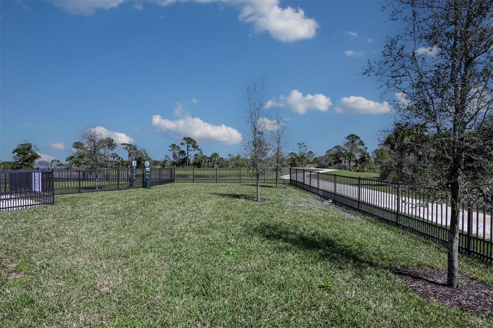 12233 NEW TRANQUILITY PATH