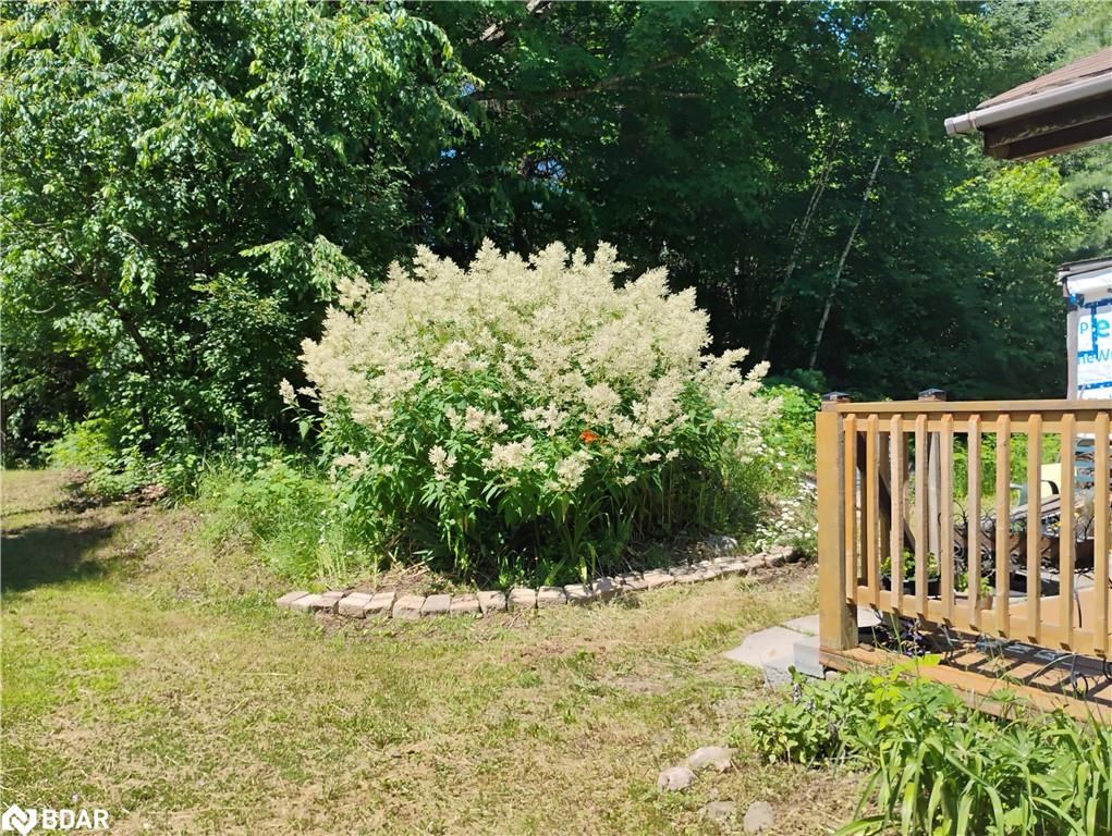 2808 Gelert Road