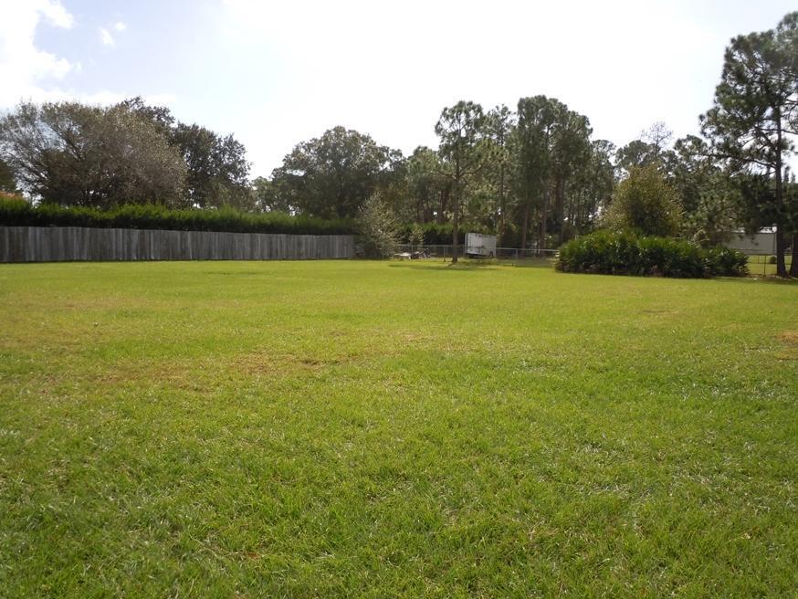 6008 Palmetto Drive