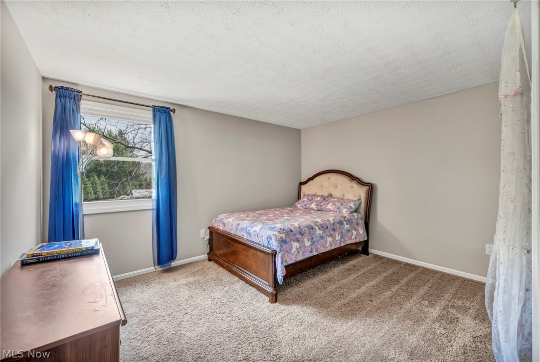 17141 Misty Lake Drive