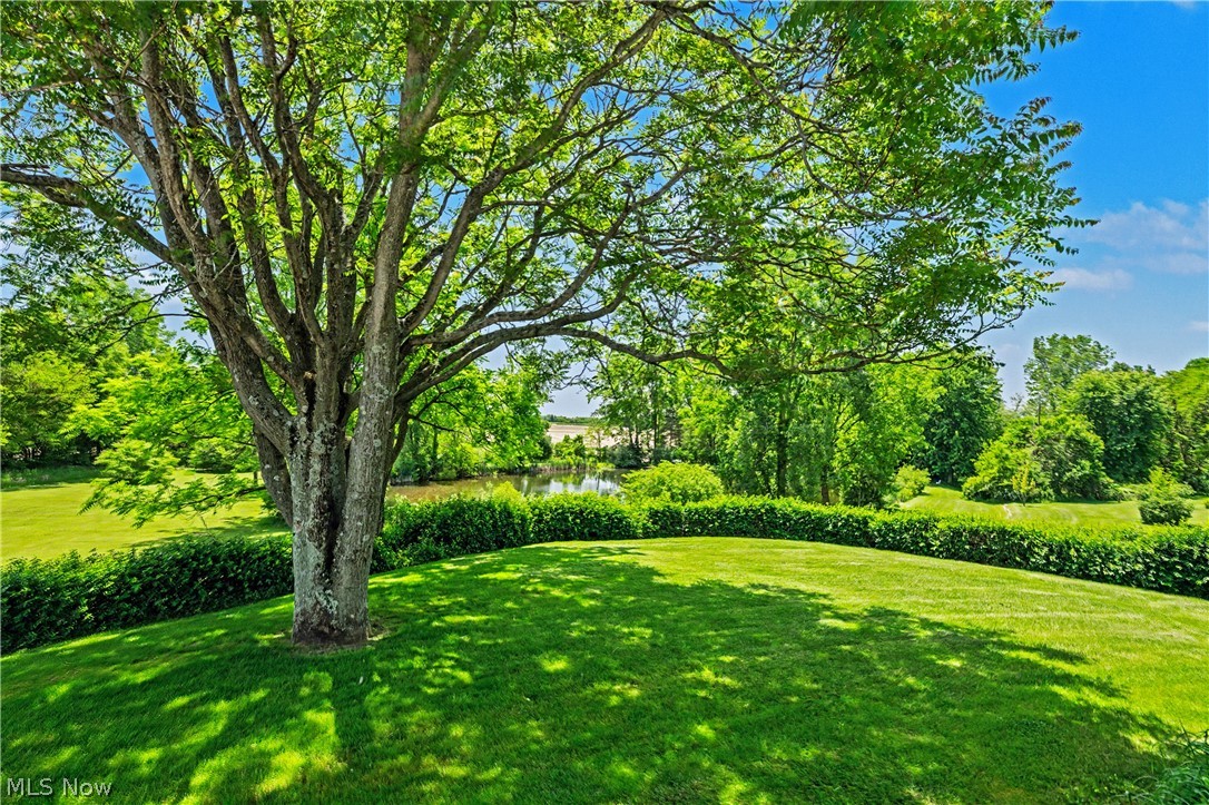 8110 Main Road