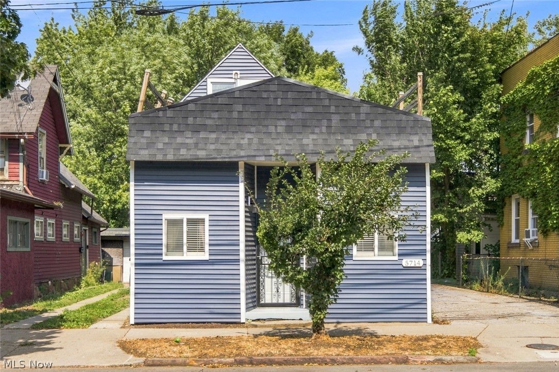 Blue-sided house with a dark porch roof and leafy tree in front.