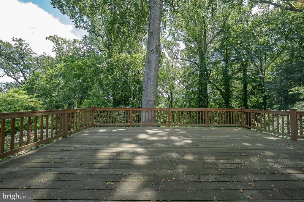 1109 BRYNLAWN ROAD