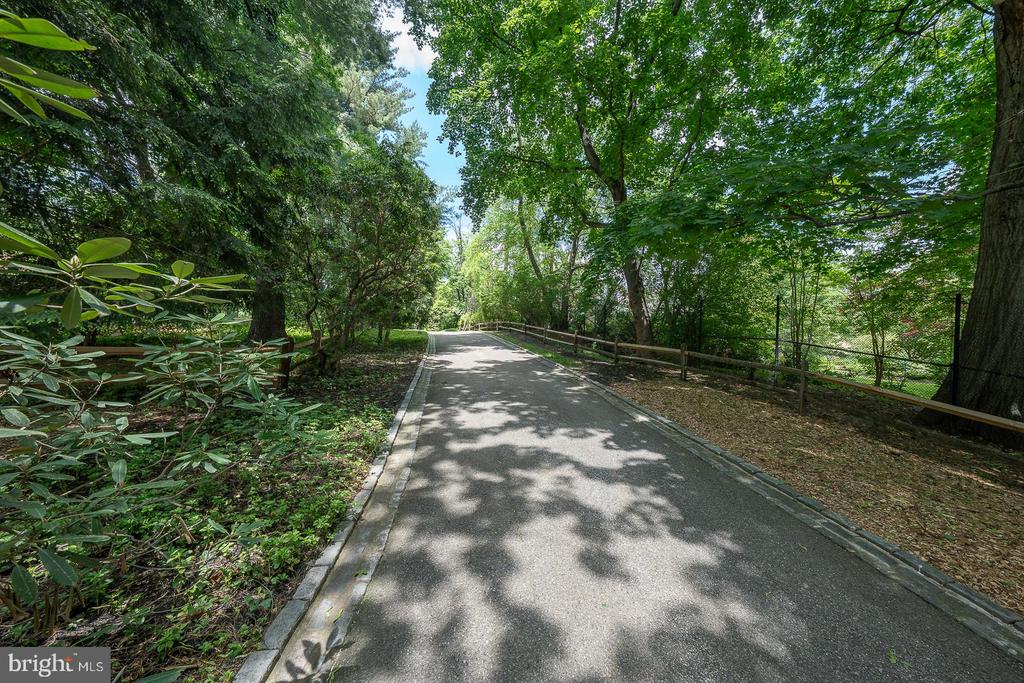 1109 BRYNLAWN ROAD