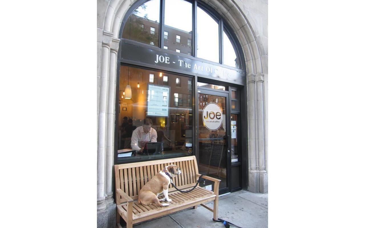 465 W 23RD Street 19D