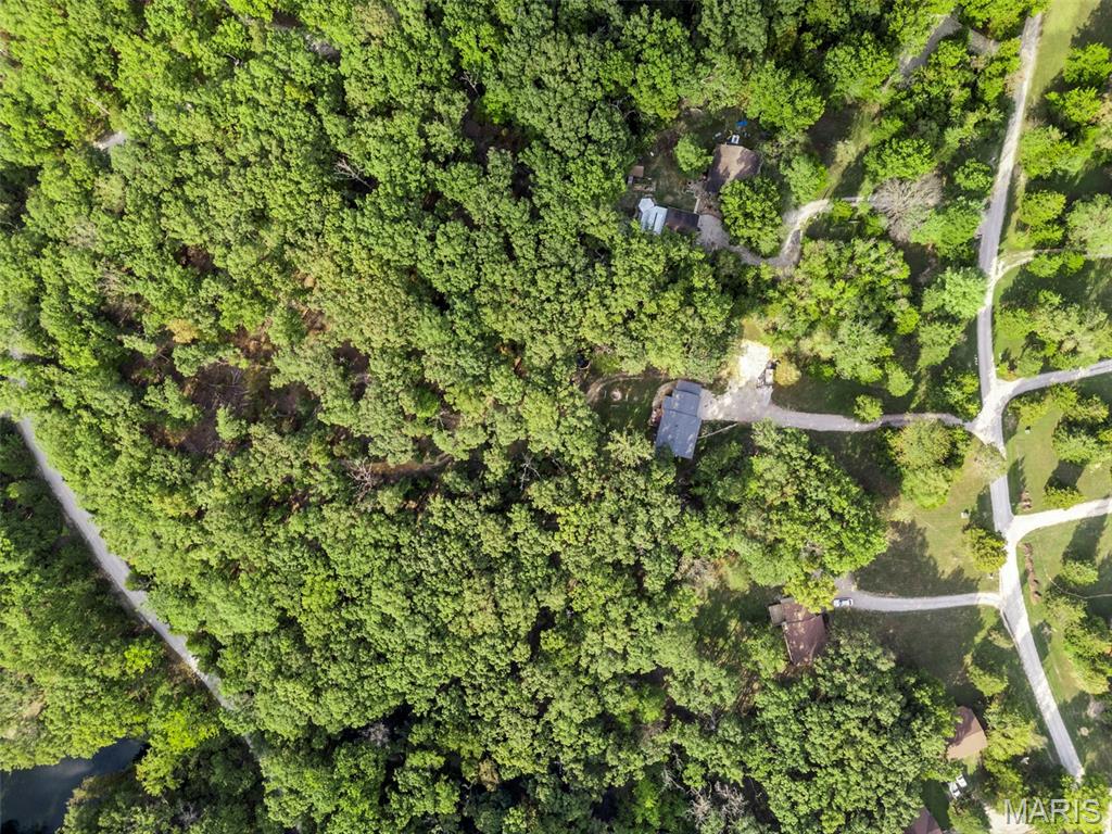 23381 Forest Haven Drive