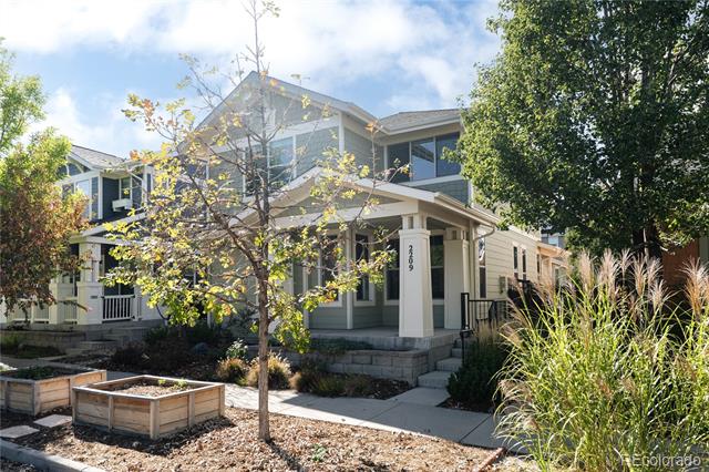 2209 Tamarac Street