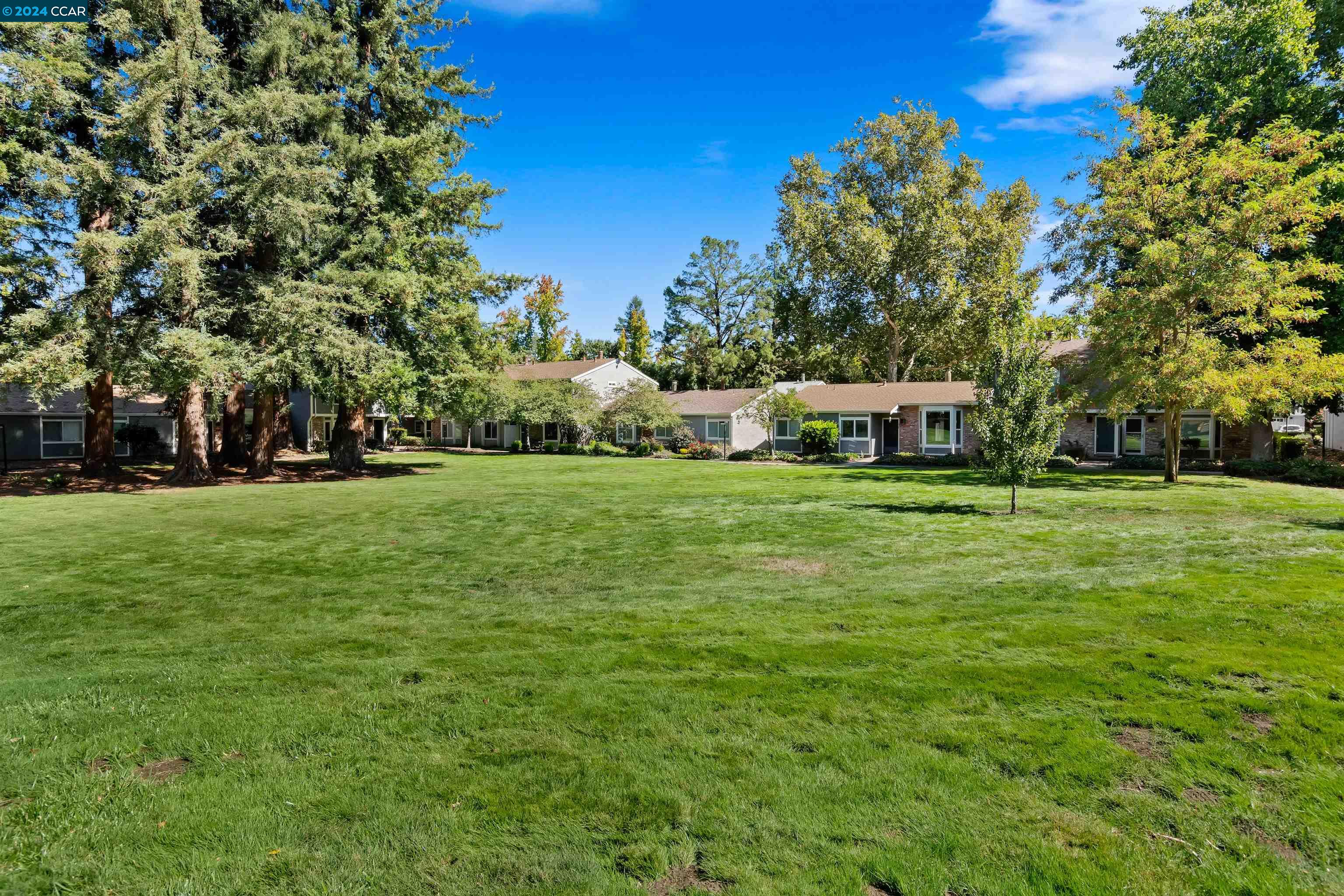 492 Sycamore Cir