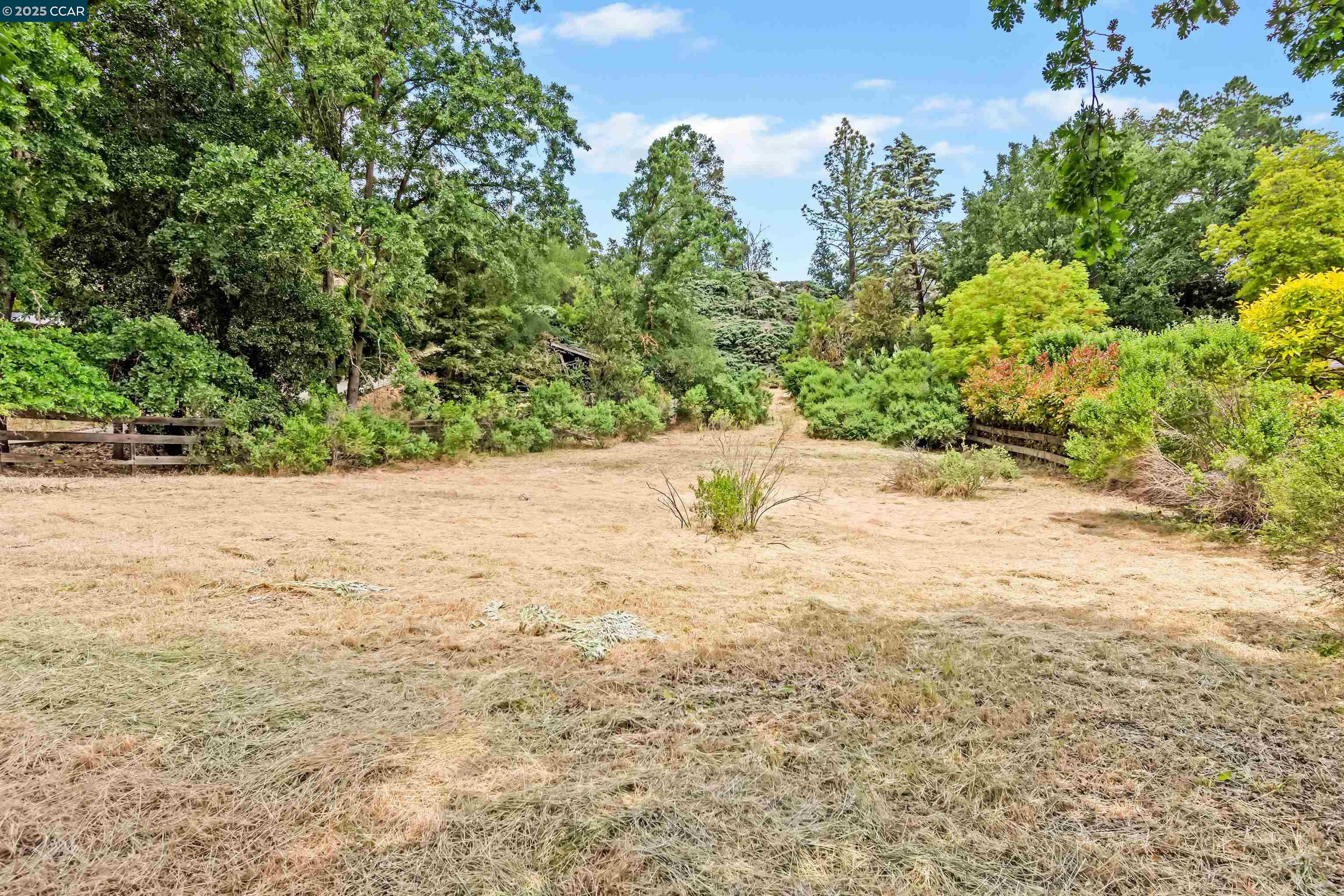 1810 Meadow Lane