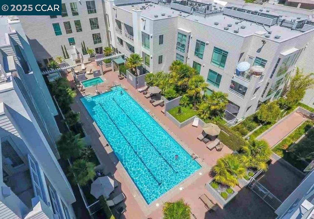1655 N California Blvd # 259